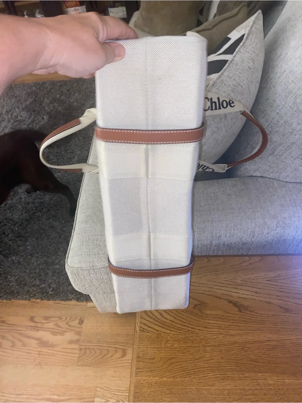 Beige & Brown Canvas Tote Bag